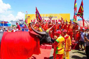 choi trau do son thang giai