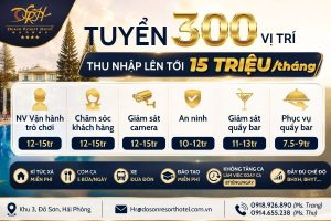 tuyen dung doson casino
